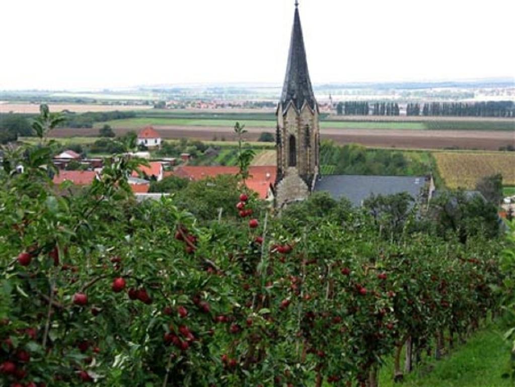 Motel Zur Festwiese Gierstadt Екстер'єр фото